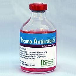 Vacuna antirrábica