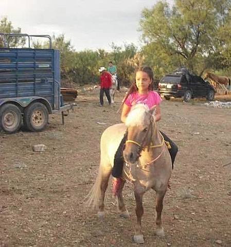 Pomponio llega a mi vida (aún pertenece aquí)