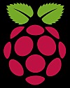 Начало производства первой партии Raspberry Pi