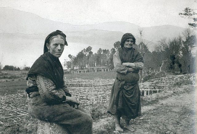 Transformacións a partir da caída da agricultura a finais do S.XIX