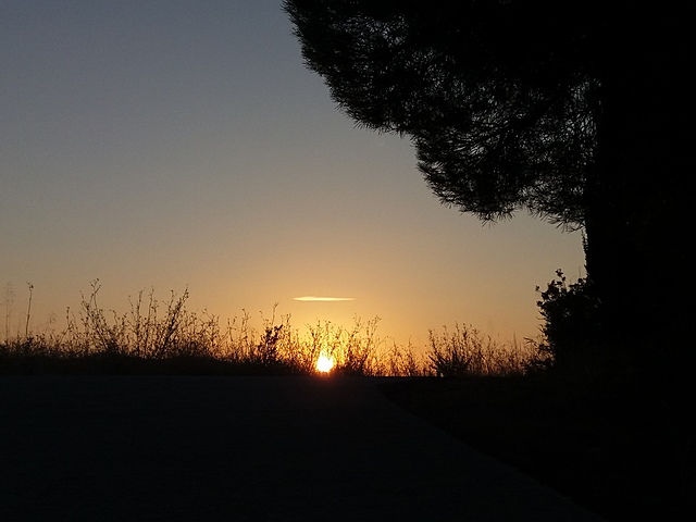 VAIG ANAR A PASSAR EL CAP D'ANY A MALLORCA