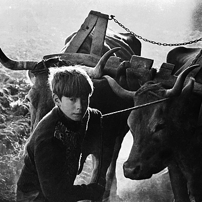 Timeline: Demografía, economía e sociedade na Galicia