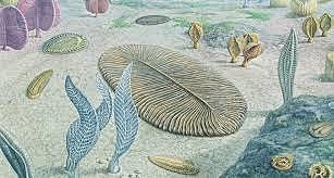 the origin of creature