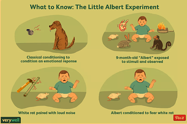 John B. Watson (1878–1958) conducts the ‘Little Albert’ study