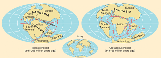 Breakup of Pangea (Early Jurassic Epoch, about 201 million to 174 million years ago)