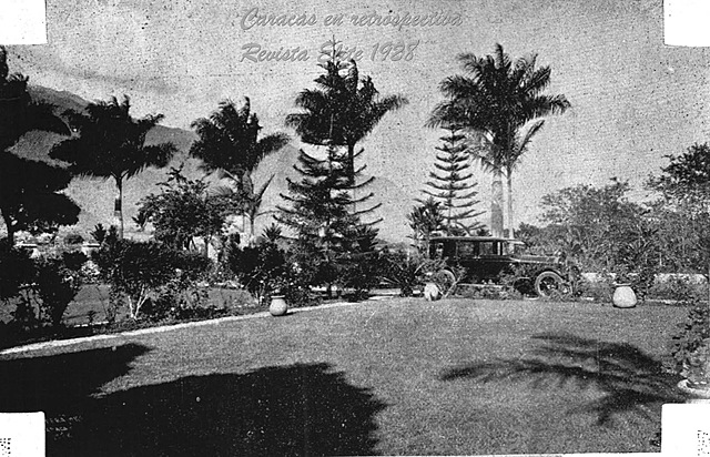 Compra por Alfredo Brandt Casanova