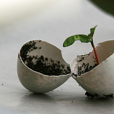 Timeline: Le renouveau