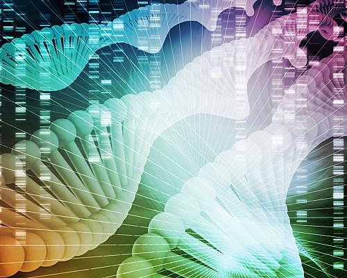 Loi bioéthique 2011