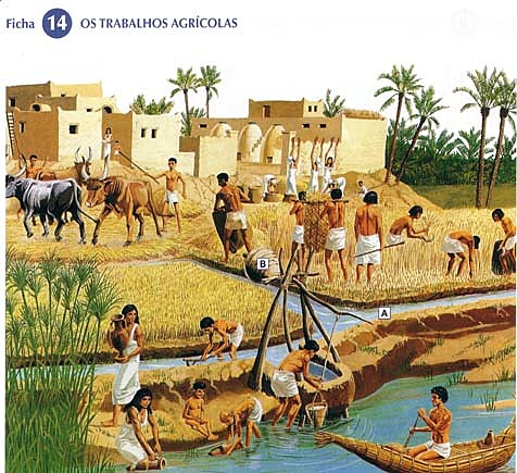 O antigo Egito - Agricultura