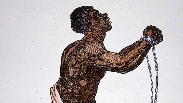 The 13th Amendment (+)