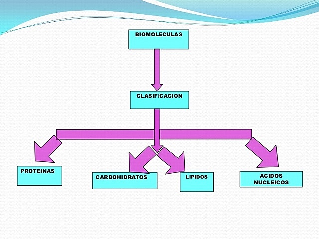 Clasificación de Biomoleculas.