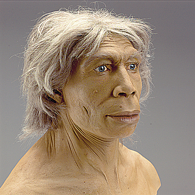Homo Neandethalensis