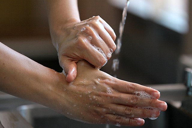 Servicio de Higiene Rural del DSP