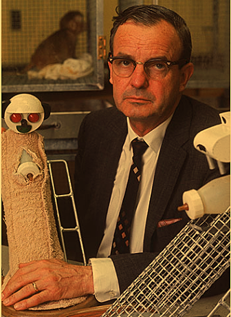Harry Harlow publishes his work on attachment among rhesus macaque monkeys
