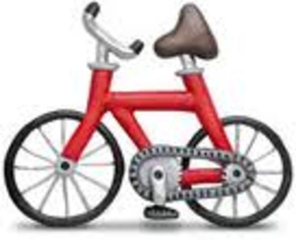 I learned how to ride a bike