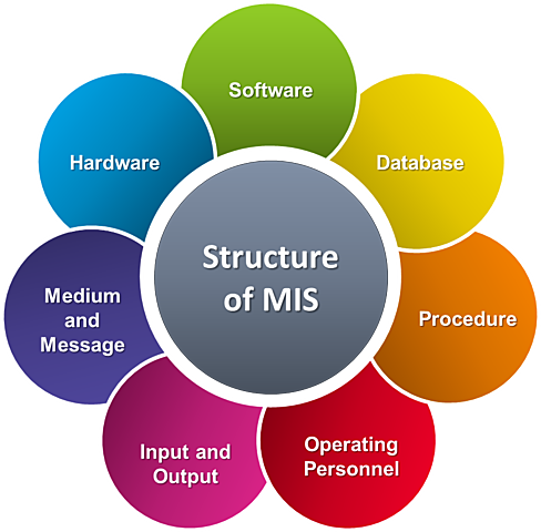 Management Information System (MIS)