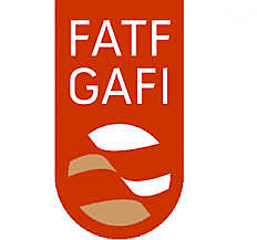 Criação do GAFI/FATF