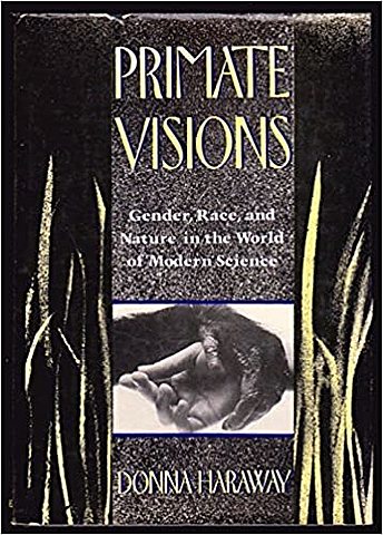 Primate Visions