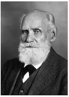 PAVLOV TEORIA DEL APRENDIZAJE CONDUCTISTA