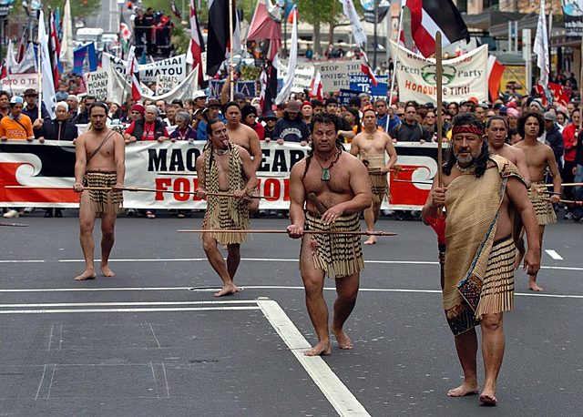Māori political party formed