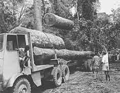 Mejoras en los inicios de la logística