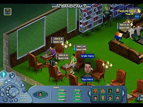 The Sims Online