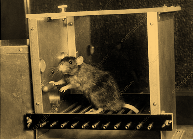 Burrhus F. Skinner (1904-1990) publishes Beyond Freedom and Dignity