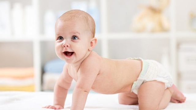 La creación de Alejandro