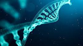 Timeline: Descubrimientos de DNA