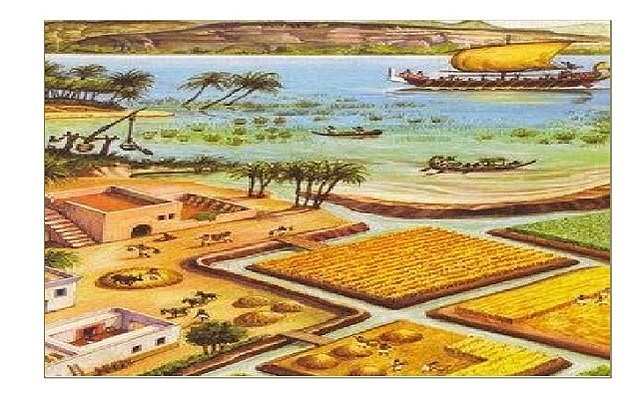 O Crescimento do Campo