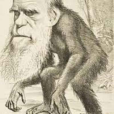 Timeline: Charles Darwin - David B.