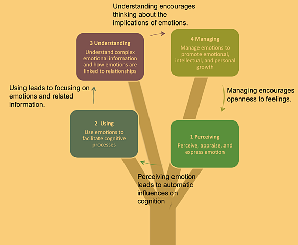 Mayer–Salovey–Caruso Emotional Intelligence Test (MSCEIT) released