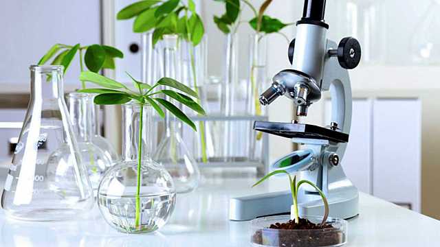 Surgimiento del Instituto de Química verde