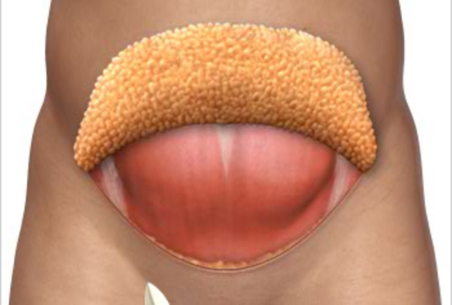 Reaching in...8:11am