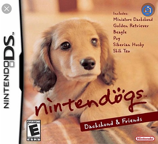 Nintendogs