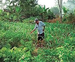 trabajar con mi padre