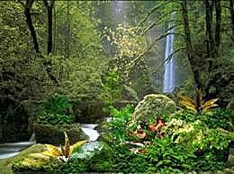 Todo el Universo Creado