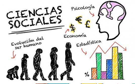 La Psicología y otras ciencias.