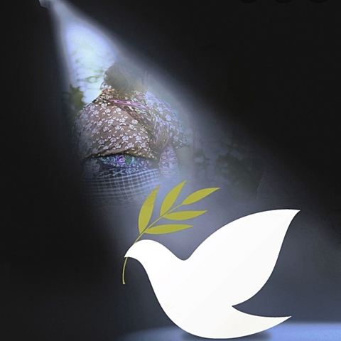 Aniversario de la Democracia y Paz