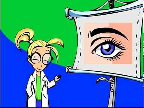 Los ojos y la visión