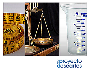 Academia de ciencias Francesa