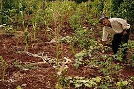 La sequía de mi Tata