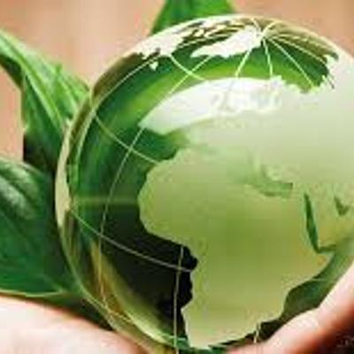 Timeline: Legislación ambiental en México