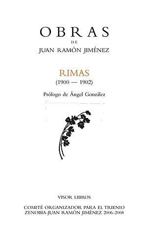 TRABAJA EN SU LIBRO RIMAS