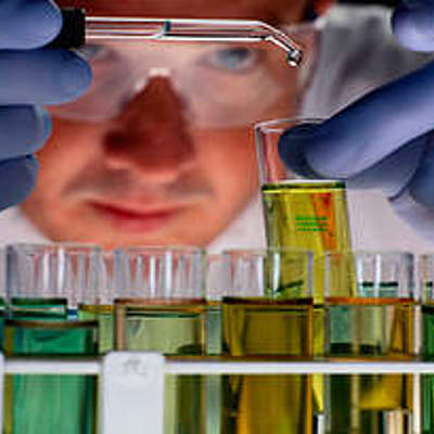 Timeline: Historia de la calidad