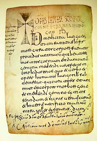 Las Glosas Emilianenses