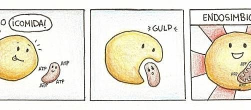 Teoria endosimbiotica