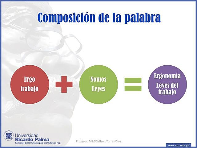 Se adorta el término ergonomía