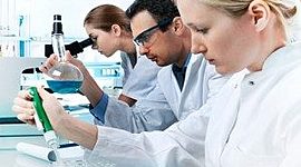 Timeline: Método Cientifico En el Proceso de Investigación