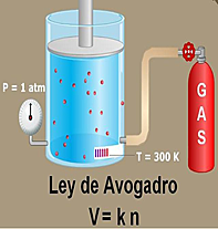 Amedeo Avogadro: Ley de Avogadro